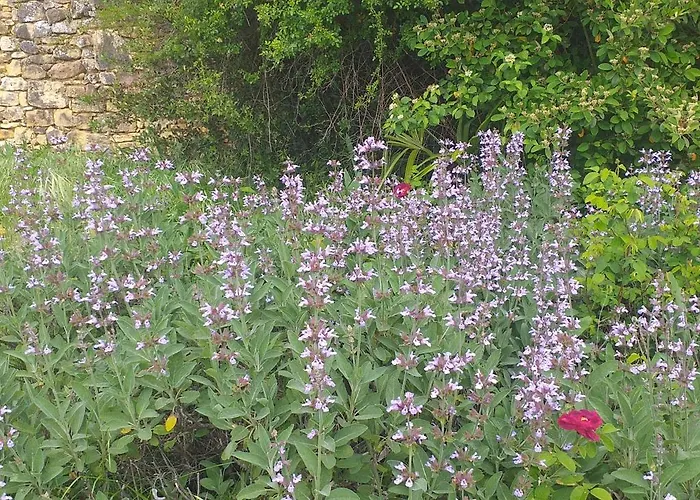 펜션 Le Baron Perche *